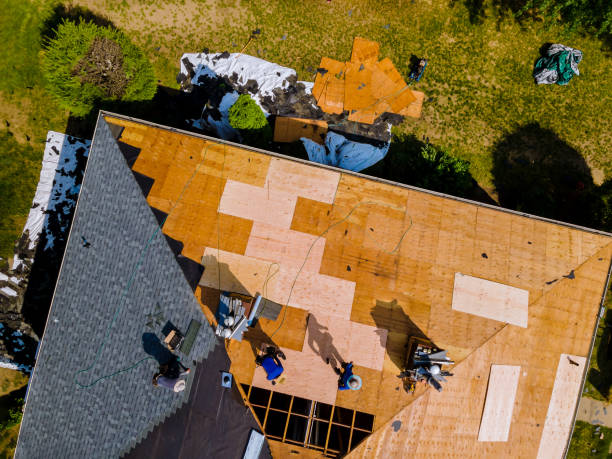 Best Storm Damage Roof Repair  in Ironde, AL